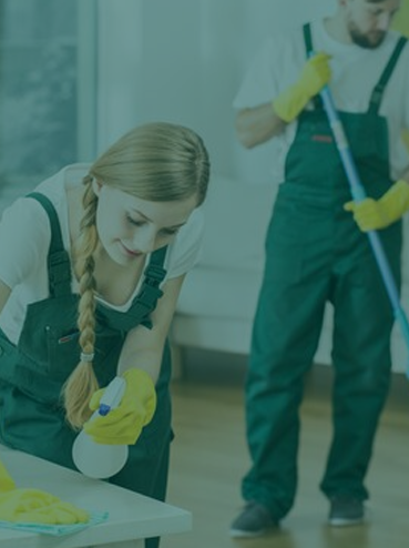 Move In/Move Out Cleanup